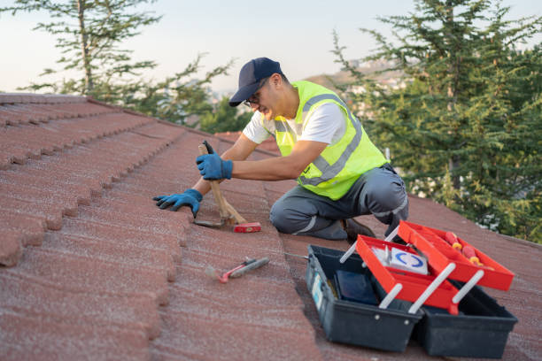 Professional Roofing Contractor in St Hedwig, TX